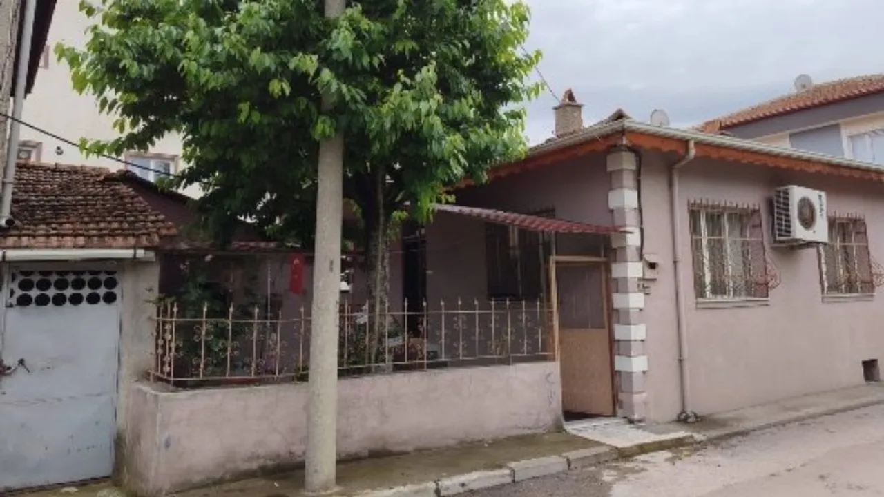 Çorum da kiraz toplarken ağaçtan düşen yaşlı adam hayatını kaybetti kapak görseli, soyut, yüz ve yazı yok