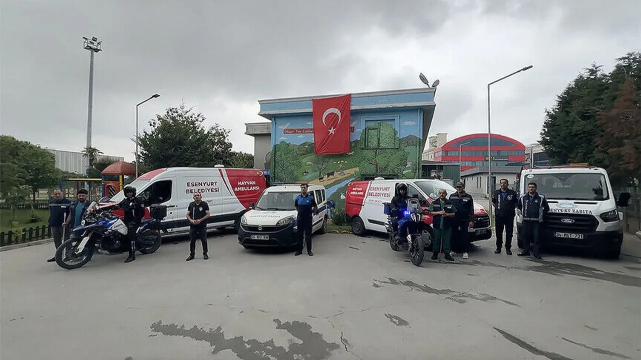 İstanbul da Kurban Yakalama Timleri Göreve Hazır kapak görseli, soyut, yüz ve yazı yok