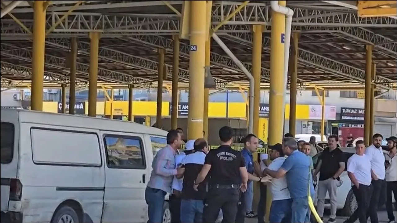 Kanlı İnfaz: Söke'de Otomobile Saldırıda Sürücü ve Hamile Kadın Öldü kapak görseli, soyut, yüz ve yazı yok