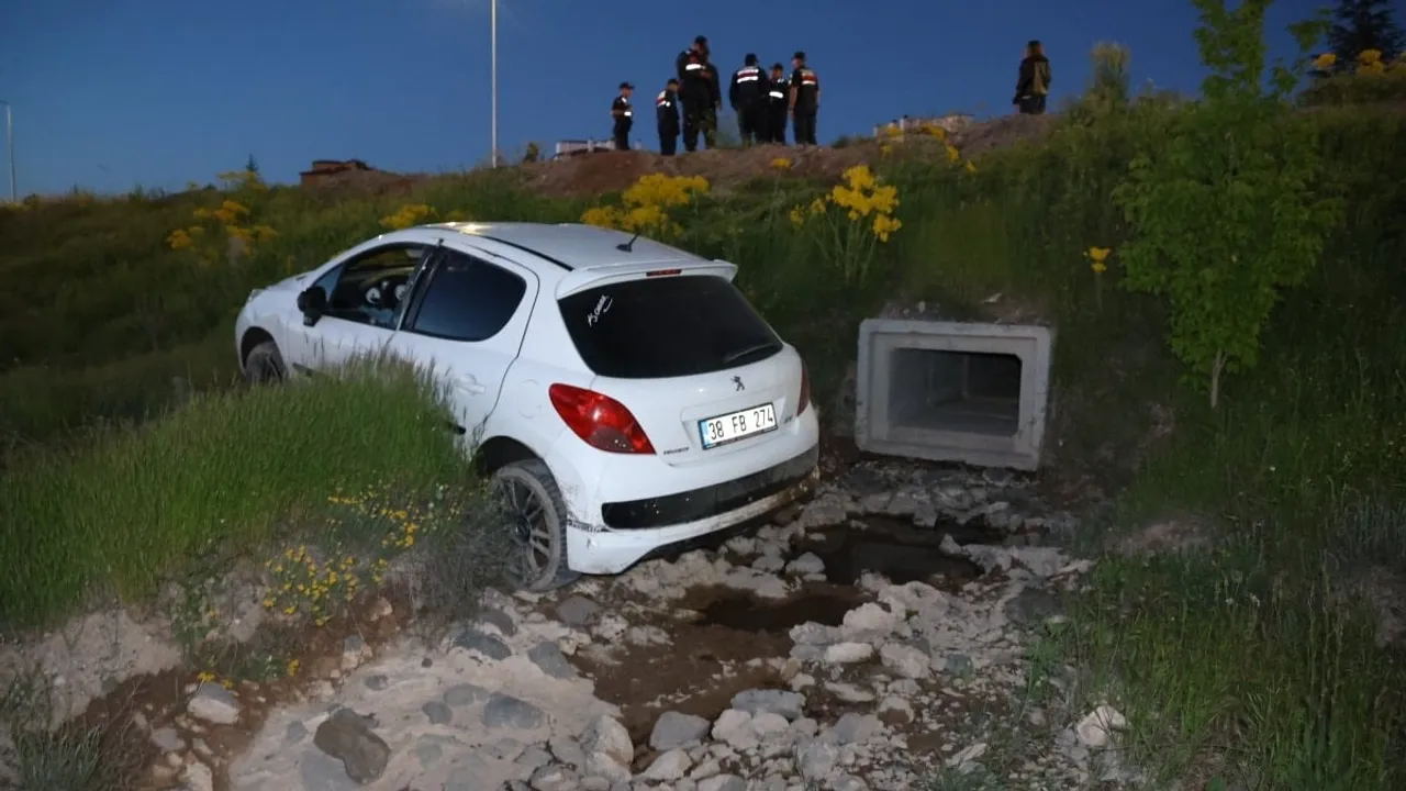 Nevşehir'de Başıboş Köpek Kazası: Otomobil Şarampole Uçtu kapak görseli, soyut, yüz ve yazı yok